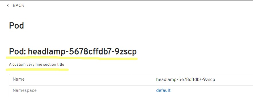 screenshot of the appended Details View Section